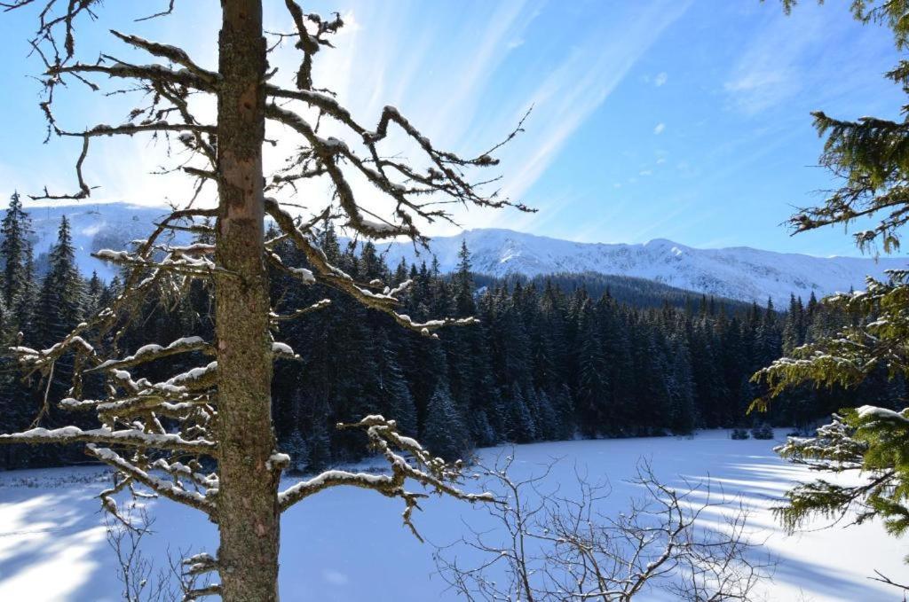 Chalets Adriana Demanovska Dolina Bagian luar foto